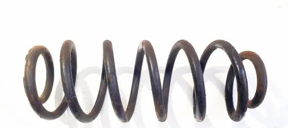 Rear coil spring