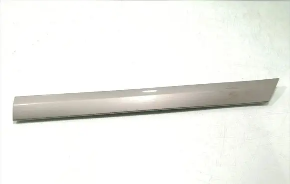 Rear door trim (molding)