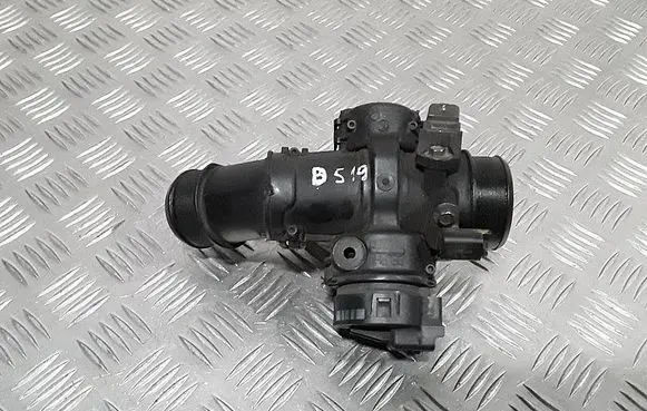 Citroen C5 Throttle valve 25365222