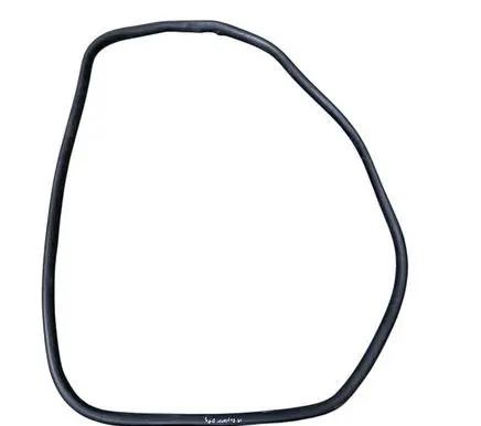 Ford Explorer VI Rear door rubber seal (on body) LB5BS253A10KD
