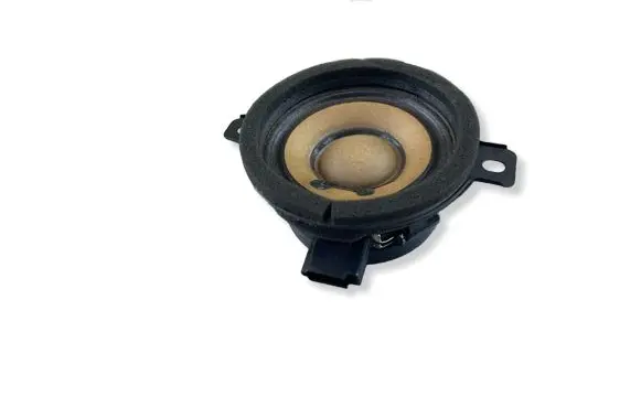 Opel Insignia A Front door speaker 545295771