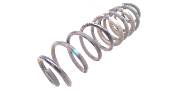 Rear coil spring