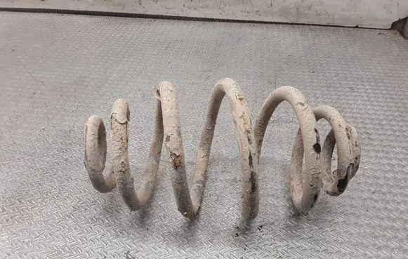 Volkswagen PASSAT B5.5 Rear coil spring