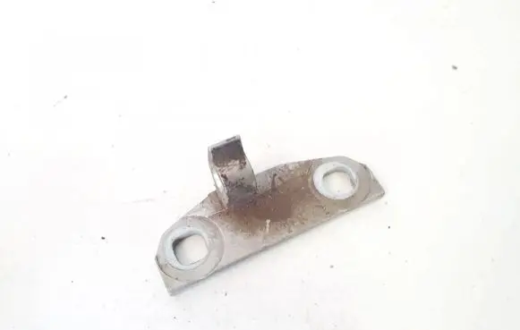 Rear door lower hinge