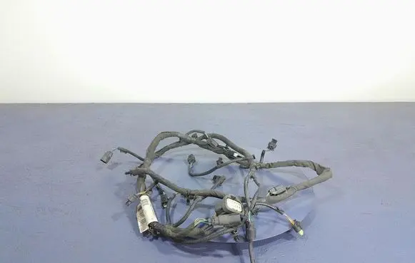 Other wiring loom