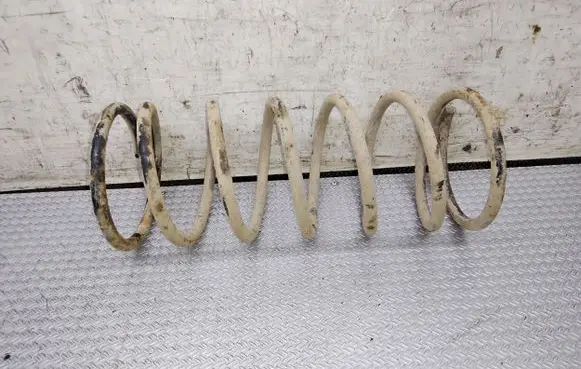 Hyundai Galloper Rear coil spring