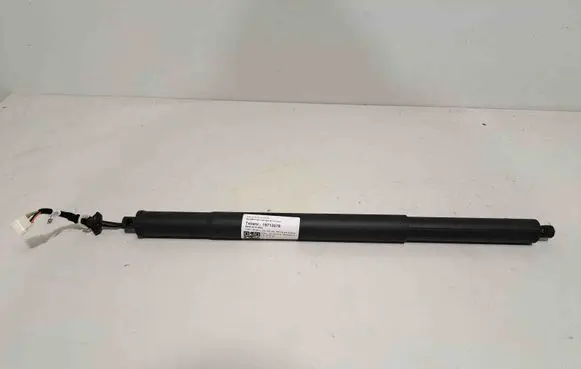 Tailgate/trunk strut/damper