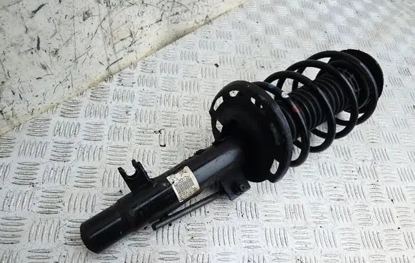 Peugeot 208 Front shock absorber with coil spring 9804831280