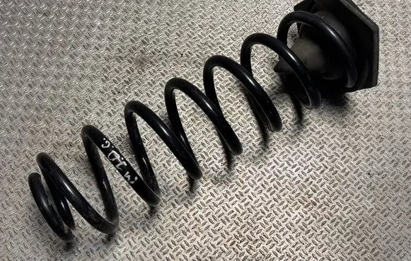 Renault Megane IV Rear coil spring 552400003R