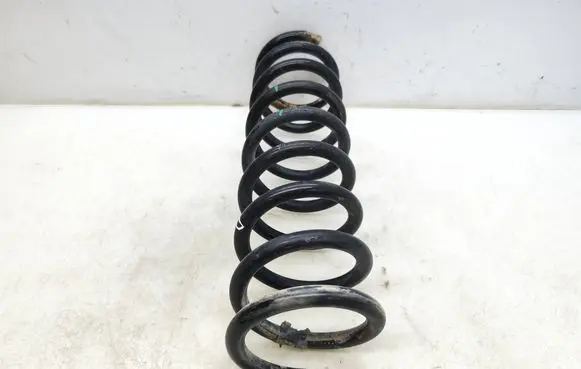 Ford Kuga II Rear coil spring 