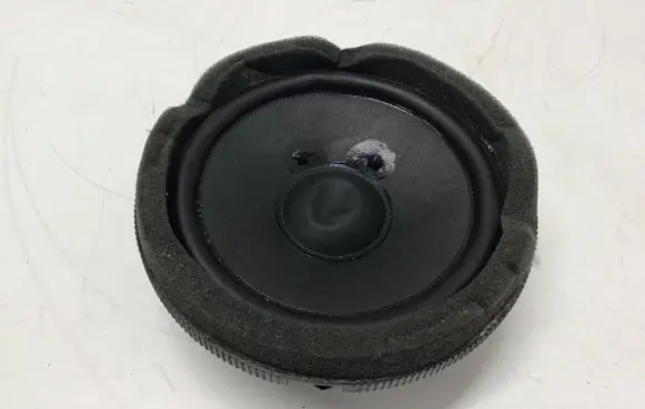 Rear door speaker