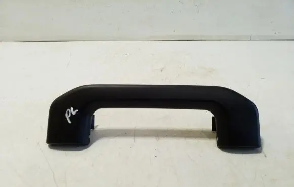 Front interior roof grab handle