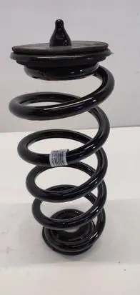 Volvo XC40 Rear coil spring 32246203