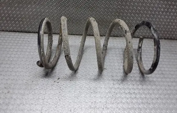 Suzuki Liana Rear coil spring