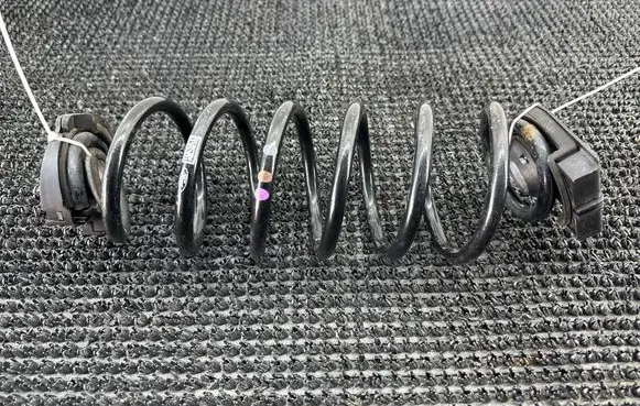 Ford Focus Rear coil spring 