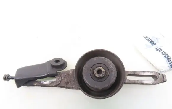 Peugeot 307 Timing belt/chain tensioner 