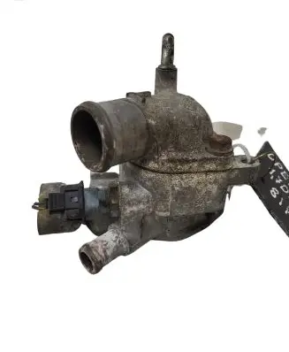 Thermostat/thermostat housing