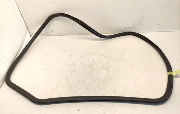 Opel Insignia A Rear door rubber seal (on body) 13246529