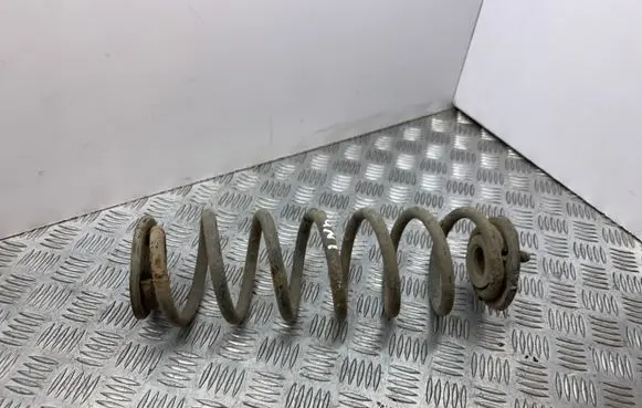 Volkswagen PASSAT B6 Rear coil spring