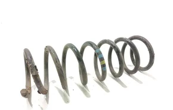 Ford Focus C-MAX Rear coil spring
