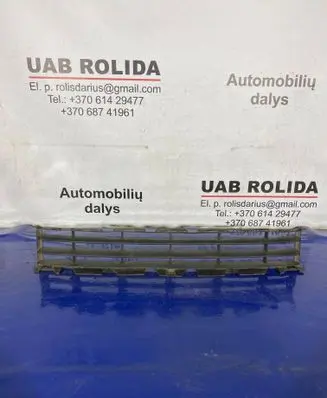 Front bumper lower grill