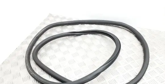 Volkswagen Tiguan Front door rubber seal 5N0867911
