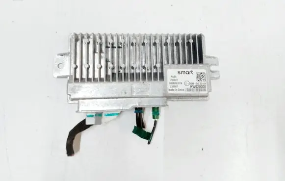 Smart #1 Other control units/modules 6608061974