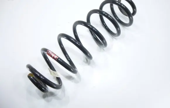 Rear coil spring
