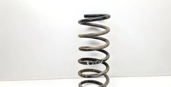 Rear coil spring