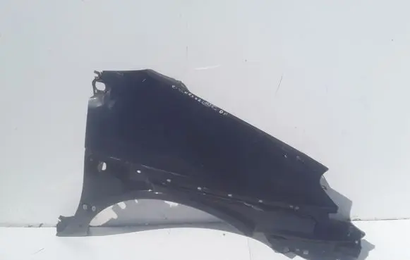 Renault Scenic RX Fender