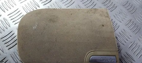 Side speaker trim/cover