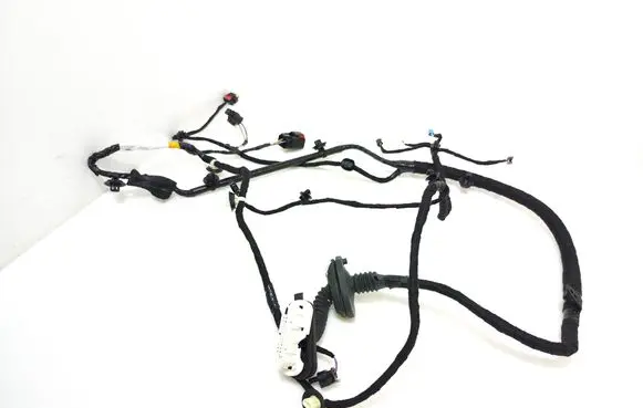 Tesla Model Y Rear door wiring loom 148905300E E4022248007562
