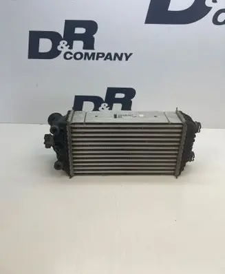 DS Automobiles 3 Crossback Intercooler radiator 9825341380