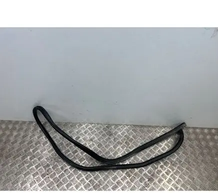 Ford Mustang Mach-E Rubber seal rear door LJ8BR20708
