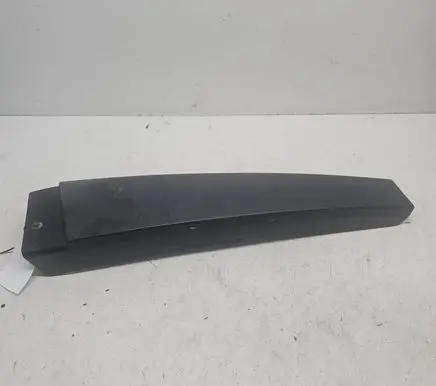 Renault Scenic II - Grand scenic II Other front door trim element 8200139600