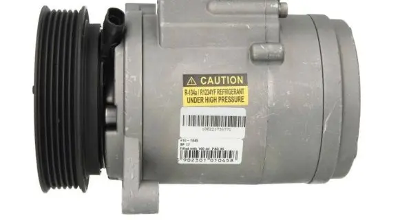 Chevrolet Captiva Air conditioning (A/C) compressor (pump) 96629606 96861885 4813544