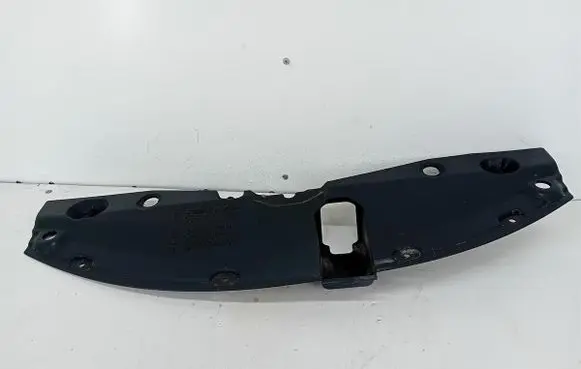 Engine bonnet/hood lock trim molding