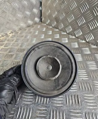 Rear door speaker