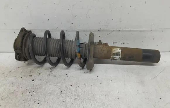 Volkswagen Golf V Front shock absorber/damper 1T0413031