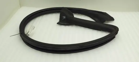 Ford Mustang V Rubber seal front coupe door S197Z07