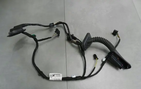 Volkswagen Jetta VI Rear door wiring loom 5CU971694AA