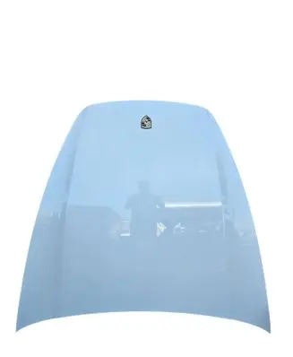 Engine bonnet/hood