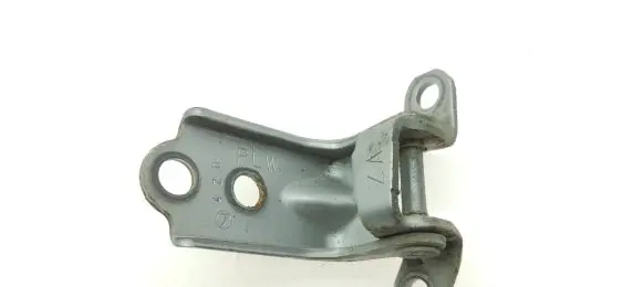 Subaru Outback Rear door lower hinge