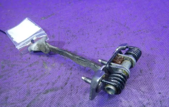 Dacia Sandero Front door check strap stopper
