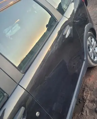 Dacia Lodgy Rear door