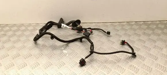Tesla Model 3 Highland Rear door wiring loom 189732300B
