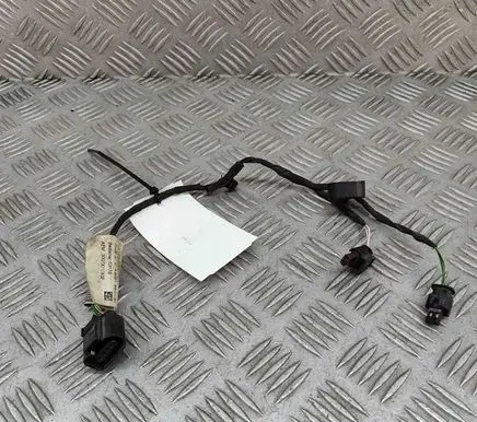 Volkswagen ID.3 Other wiring loom 1EA971658