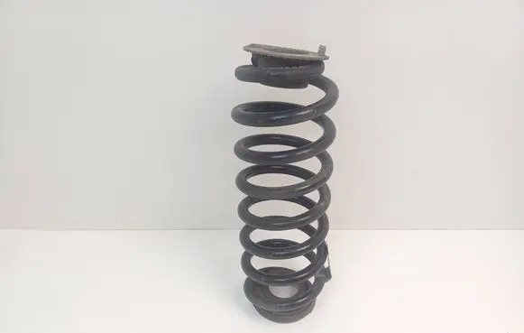 Rear coil spring