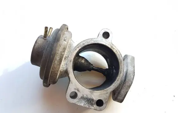 EGR valve