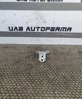 Nissan Qashqai Front door lower hinge 